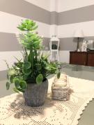 Top Bergamo Top Bergamo