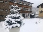 Top Pinzolo