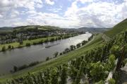 Weingut Fehres