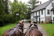 Top Fredericton