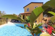 Complex of 2 villas Mugeba III with 2 private pools for up to 16 persons in Porec near the Aquapark