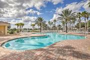 Top Palm Coast