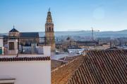 Top Córdoba