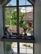 Top Krynica-Zdrój Top Krynica-Zdrój