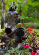 Top Guaramiranga