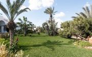 Top Djerba