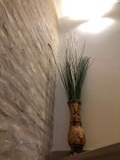 Top Civitanova Marche