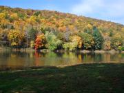 Top Callicoon