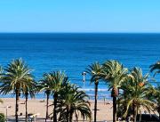 Top Alicante