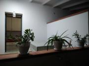 Top Isola delle Femmine