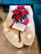 Top Wisła Top Wisła