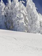 Top Flachau