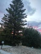 Top Quartu SantʼElena