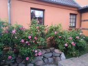 Top Wendisch Priborn Top Wendisch Priborn