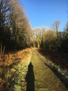 STUNNING LODGE - HOME FROM HOME Kippford, Dalbeattie