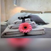 OLYMPUS PARK amnesia