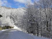 Top Wisła Top Wisła