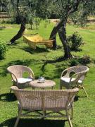 Top Moneglia