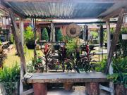 Top Chiang Khan