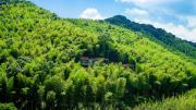 Top Ninghai