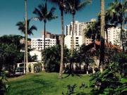 Coqueiros Praia Martin de Sá