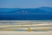 Top Parksville