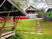 Top Mae Rim