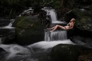 Top Cape Tribulation