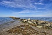 Top Marshfield
