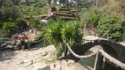 Top Casas Figueiras