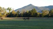 Top Halls Gap
