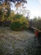 Top Castanheira de Pêra