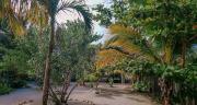 Top Caye Caulker