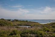 Top Hatteras