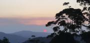 Top Mapleton