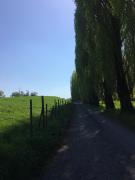 Top Louvignies-Quesnoy