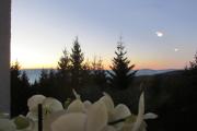 Top Kopaonik