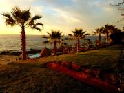 Top Puerto Velero Top Puerto Velero