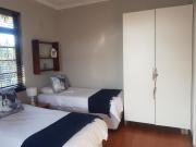 Turtle Creek - Leatherback