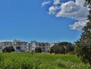Top Pyla