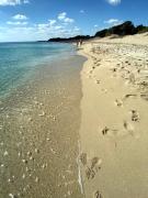 Top Punta Prosciutto