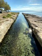 Top Punta Prosciutto