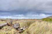Top McKinleyville