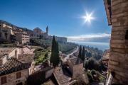 Top Assisi