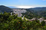 Top Frigiliana