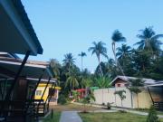 Top Trang
