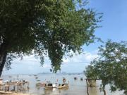 Top Trang