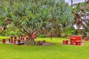 Top Ballito