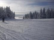 Top Kopaonik