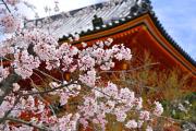 Kyomai Inn